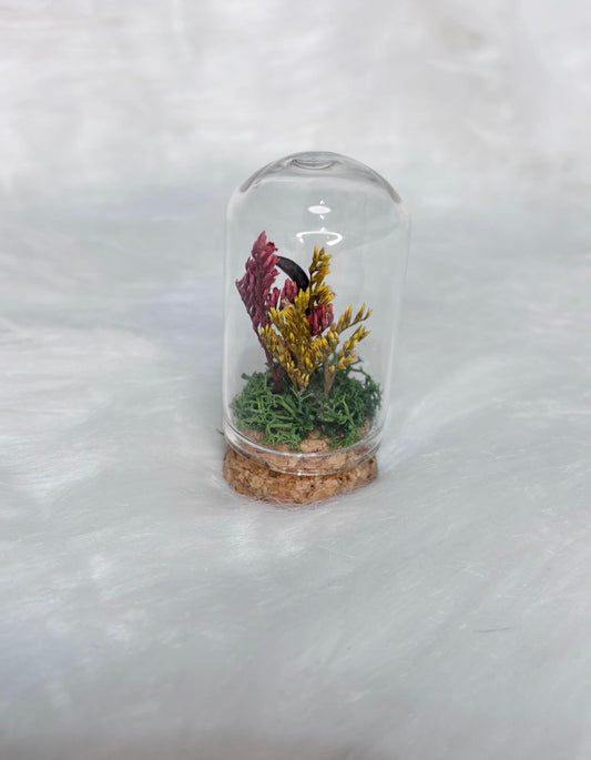 Carrion Crow Claw Curio Dome