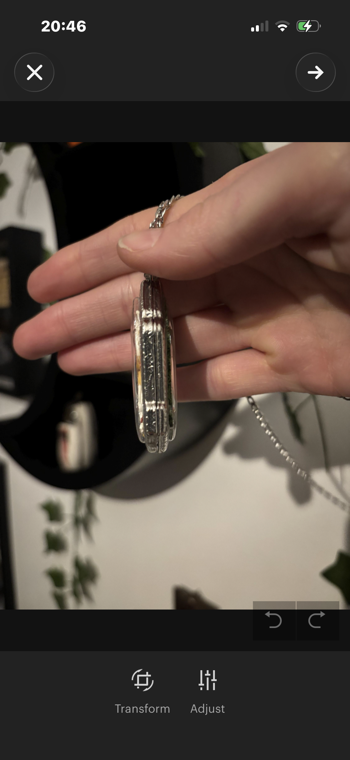 Jaw Bone Pendant Necklace