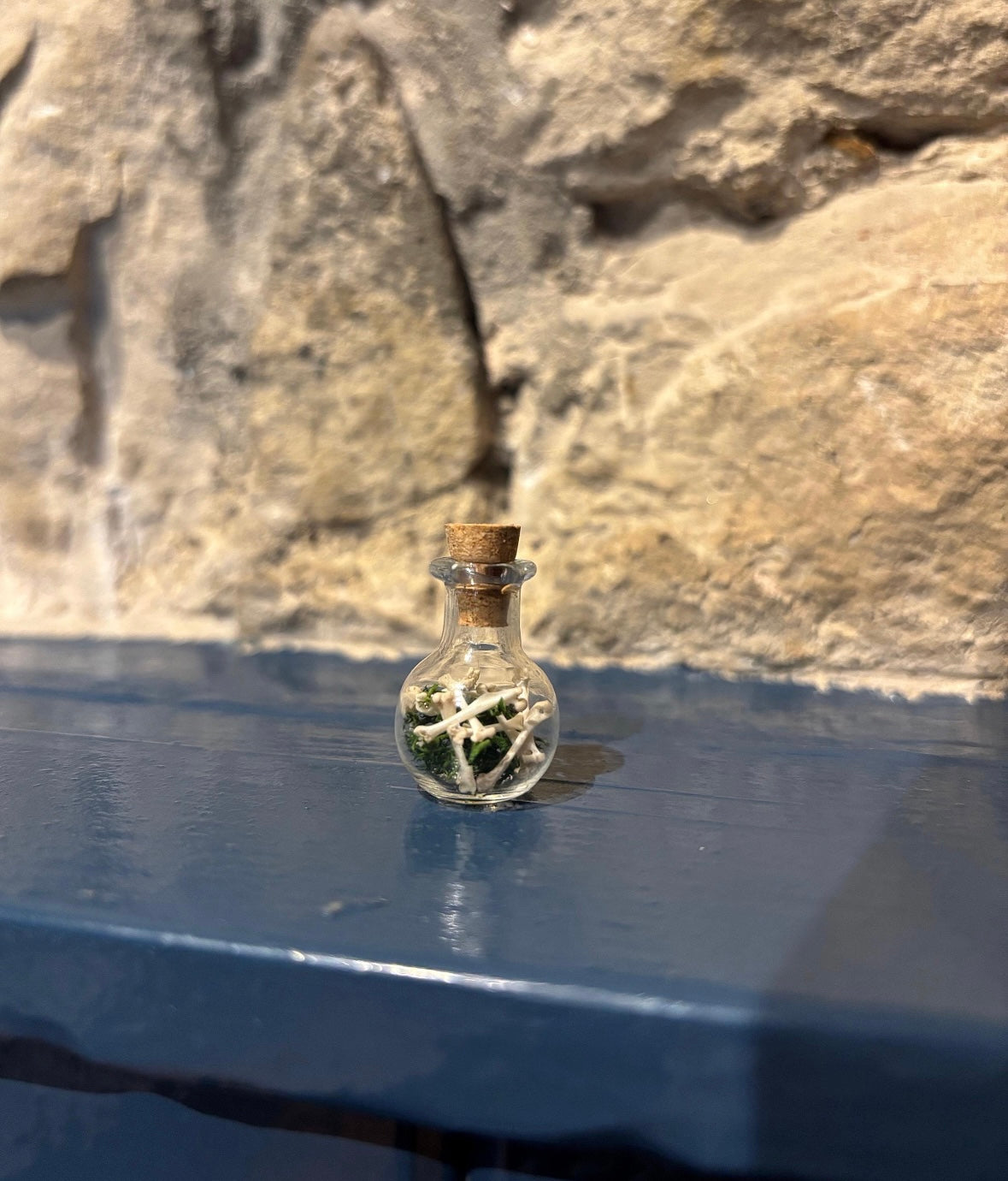 Misc Small Mammal Bone Bottle