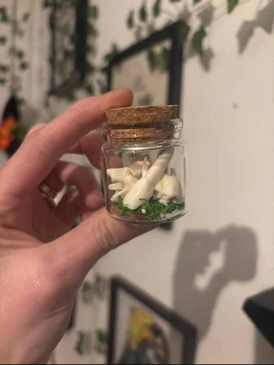 Deer Teeth Jar