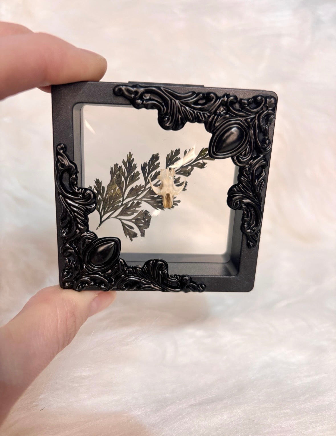 Floating Skull Curio