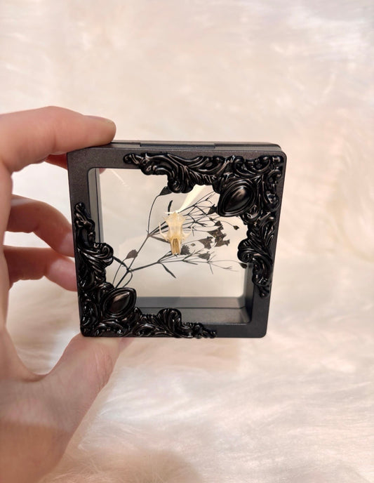 Floating Skull Box Curio