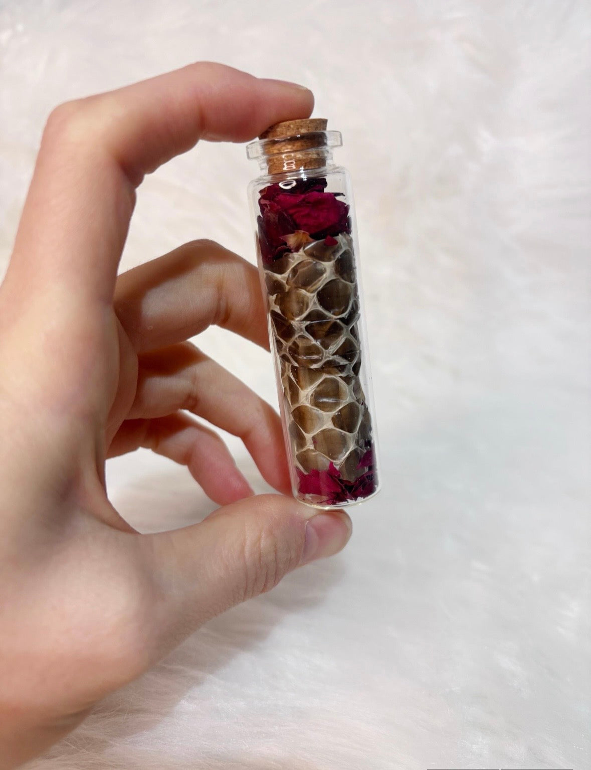 Snake Skin Shed and Roses Curio Bottle