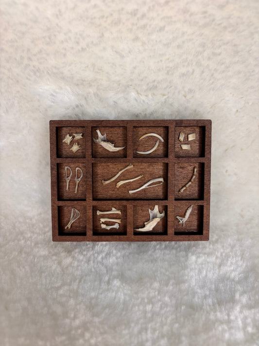 Mini Curio Display #7