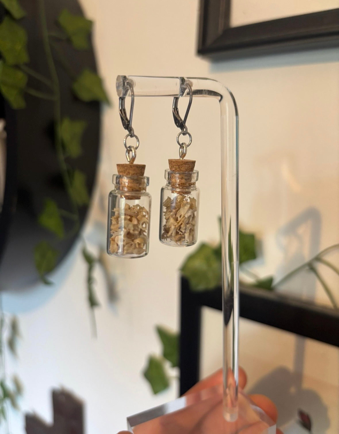 Vertebra Curio Jar Earrings