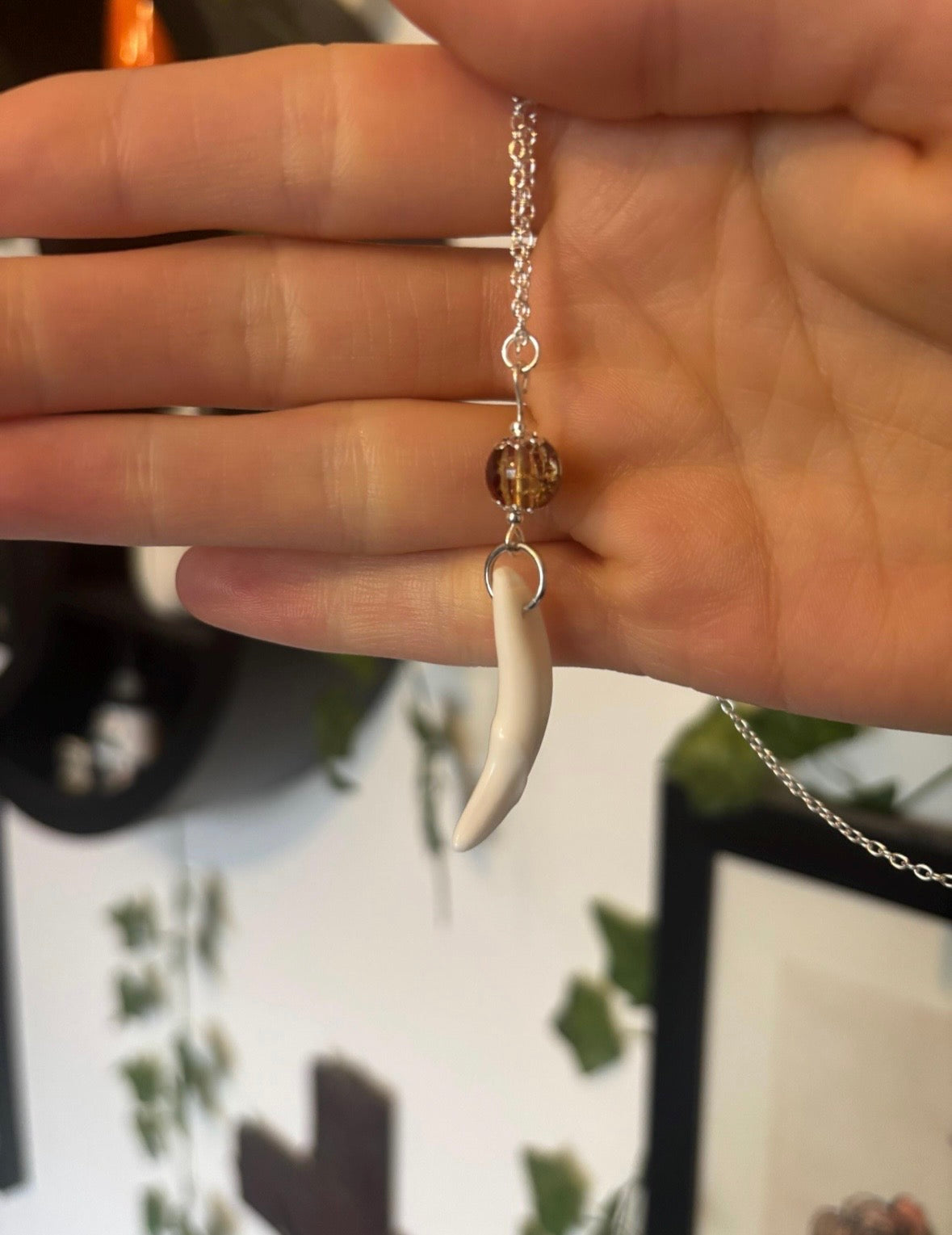 Coyote Tooth Pendant Necklace