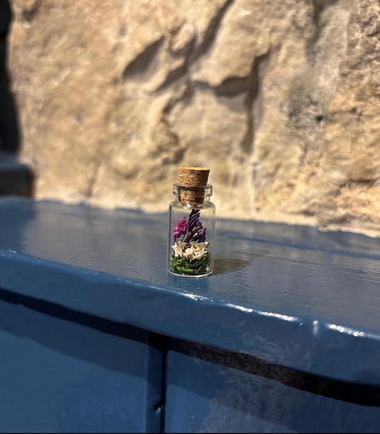 Mini Small Mammal Vertebra Jar
