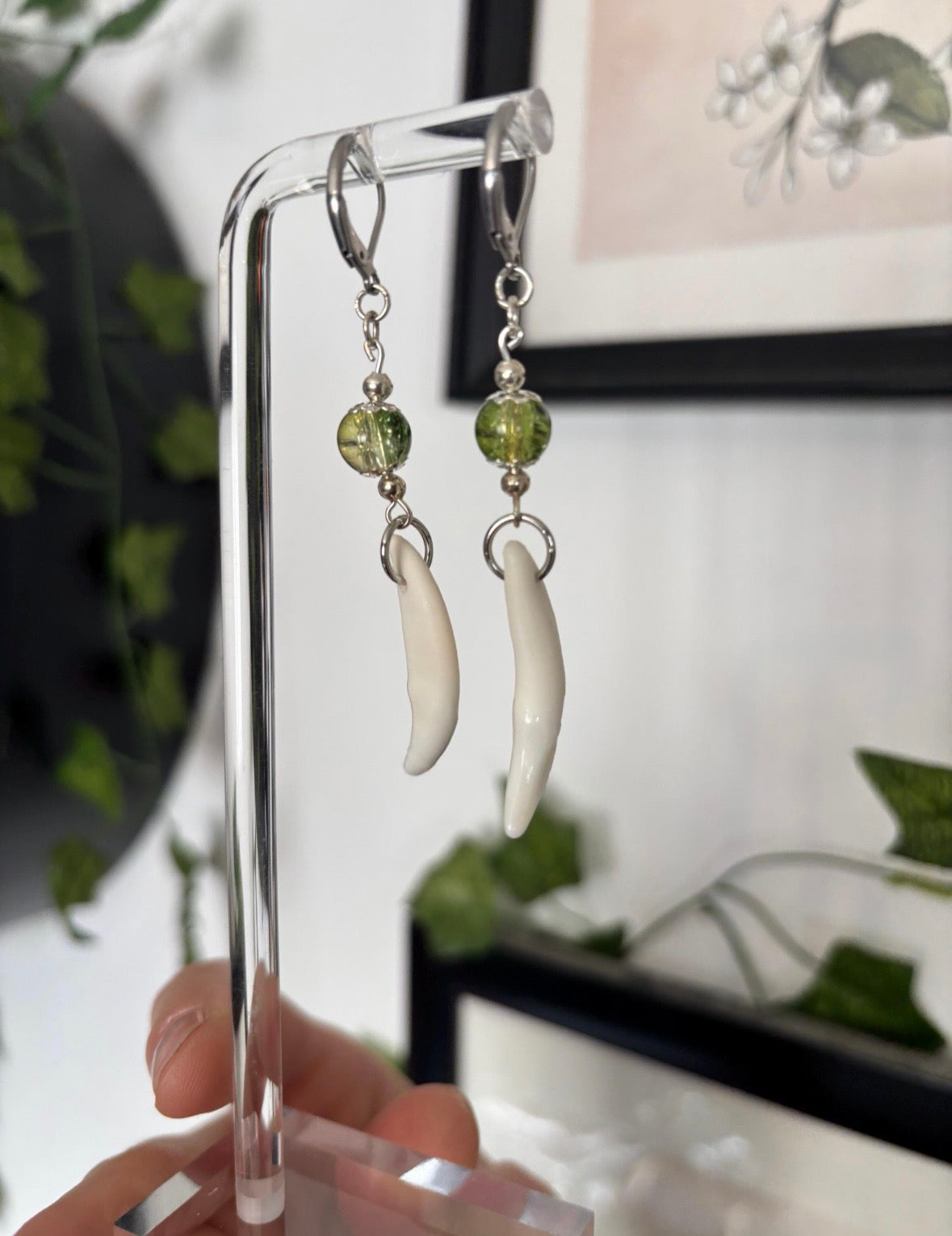 Green and Yellow Coyote Teeth Earrings