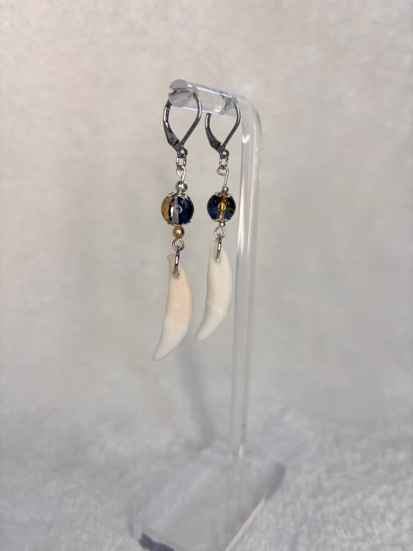 Blue and Gold Coyote Teeth Earrings