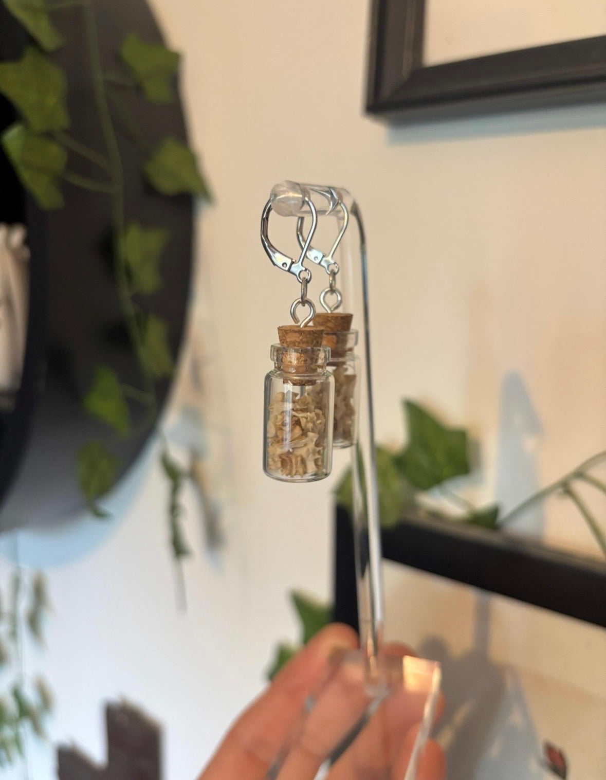 Vertebra Curio Jar Earrings