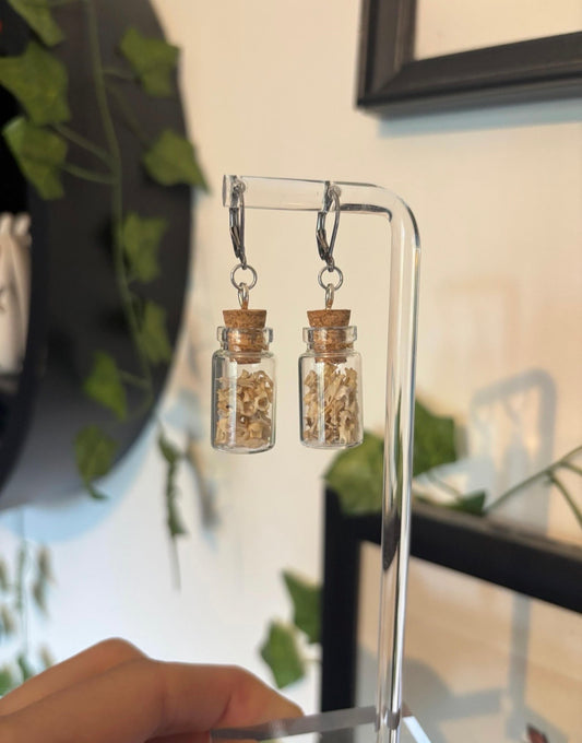 Vertebra Curio Jar Earrings
